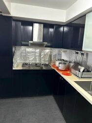 Evergreen Park (D19), Apartment #459156521